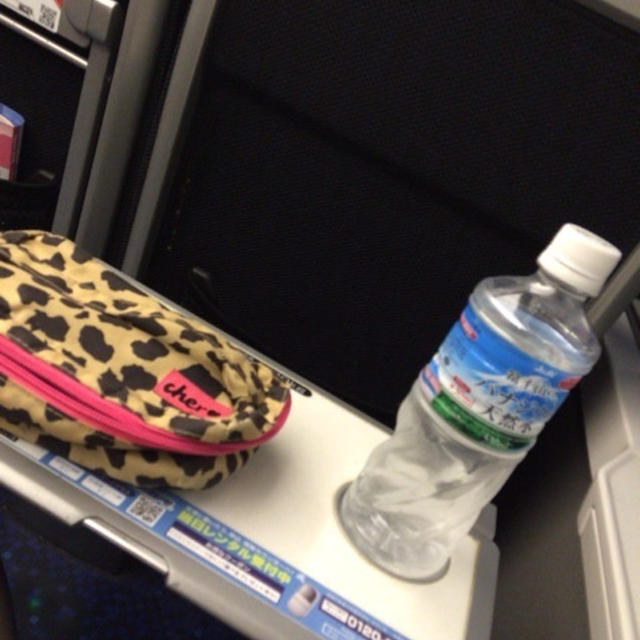 スカイライナーの旅