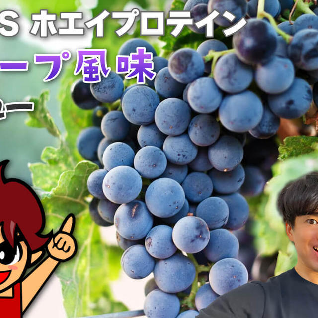 REYS（レイズ） ホエイプロテイン グレープ風味｜レビュー