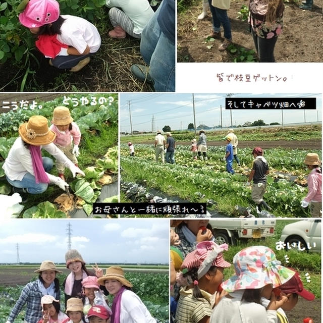 ■親子で農業体験教室ヽ(o･∀･)ﾉ｡ﾟ■