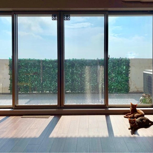 このお家に住んで、1年。