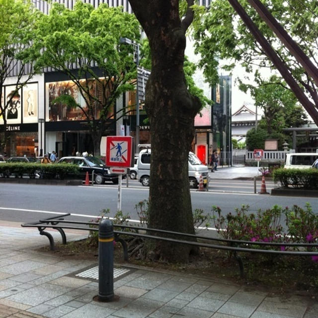 表参道なう