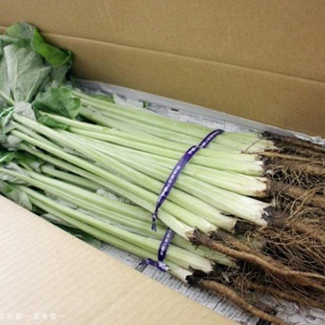 大阪の伝統野菜　大阪八尾の若ごぼう。