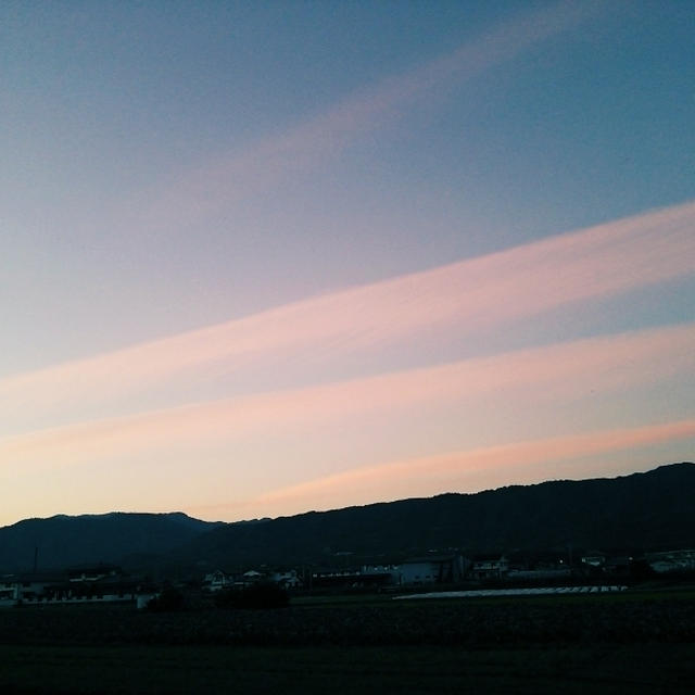 ストライプの空♡.｡º*予防接種と水疱瘡そして訓練♡