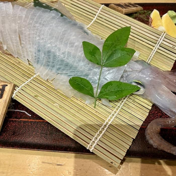 【博多グルメ】4時間待ちリベンジ！「河太郎」で念願の透明イカ、堪能しました