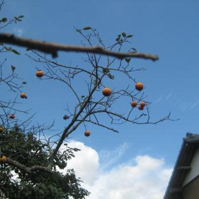 私もちょっとだけ自給自足してます
