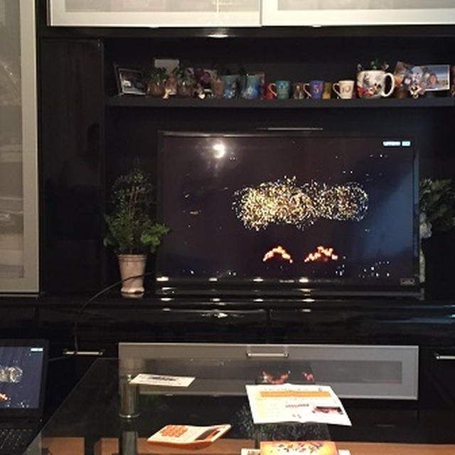 PL花火をテレビで