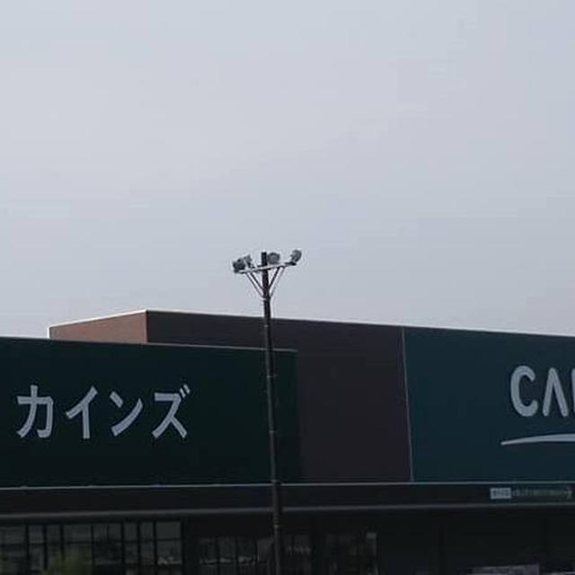 ＊カインズ＊品切れ続く大人気商品