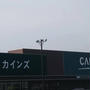 ＊カインズ＊品切れ続く大人気商品