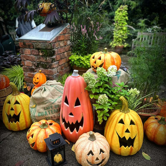 映えハロウィン写真が撮れる！横浜のデートスポット