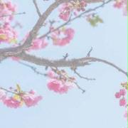 目を疑った塾帰りの子が手にしていたもの