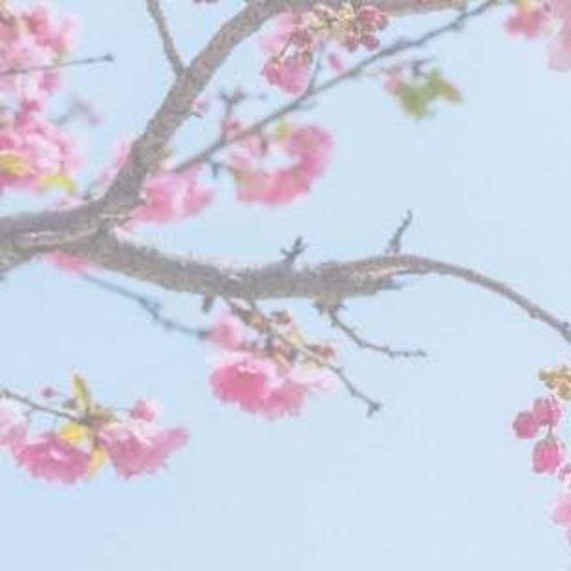 目を疑った塾帰りの子が手にしていたもの