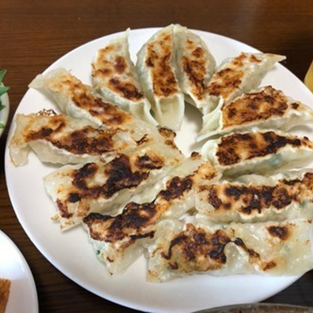 久しぶりに自家製餃子