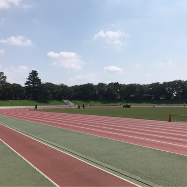 Newホイール