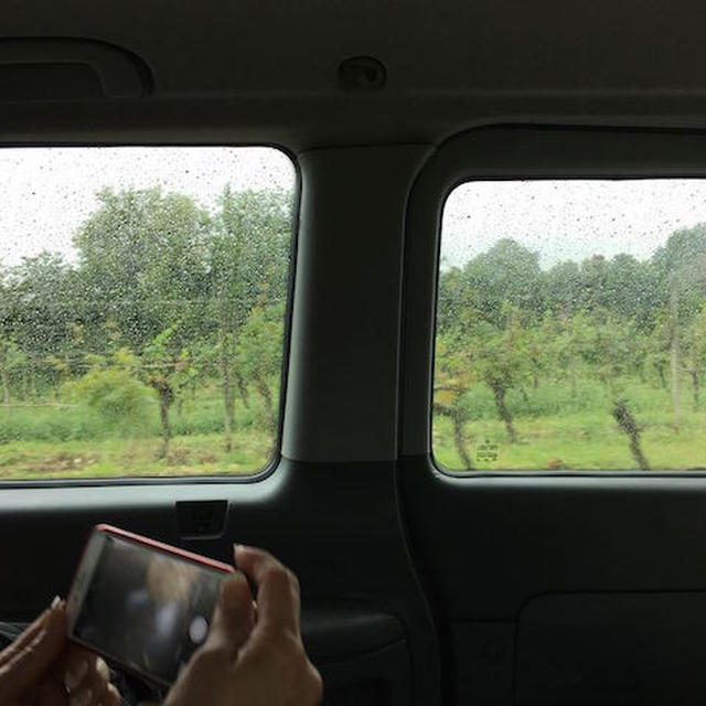 イギリス最大のワイナリー「Denbies Wine Estate」にて課外授業？！
