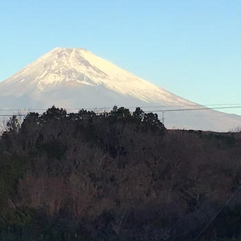 謹賀新年