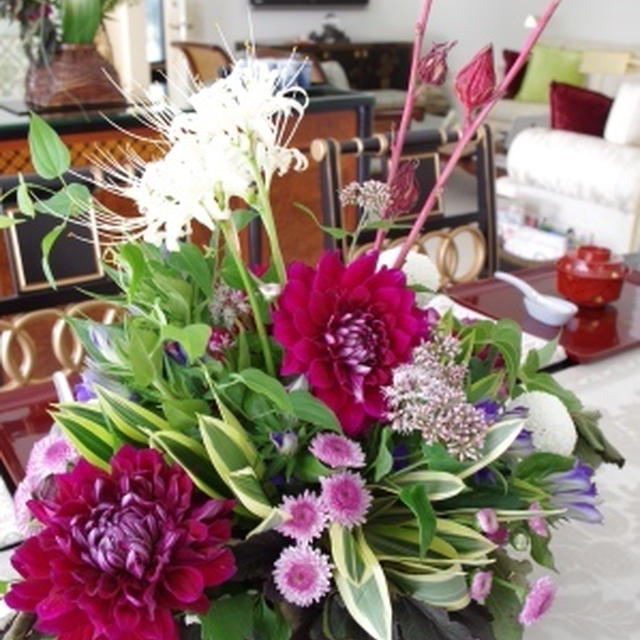連休も教室と菊花薄荷茶