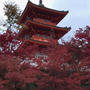 晩秋から初冬の日本＿2019　⑷　ー京都 ③ 清水寺・11月26日ー