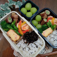 分散登校弁当★春咲き花の発芽＆種蒔きの様子♪