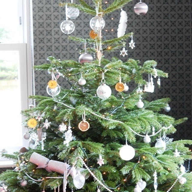 ２０１５年　クリスマスツリー♪