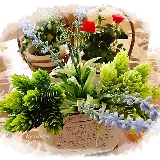 蒸し布？ダイソーの造花♪＆お気に入り雑貨屋さん♪