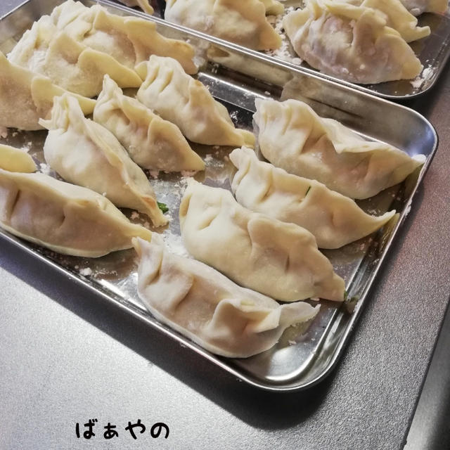 喧嘩した後の仲直り？晩御飯【皮もちもち餃子】