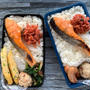 男子中高生弁当