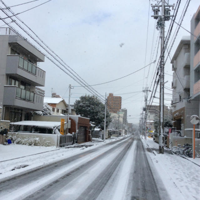 名古屋は積雪