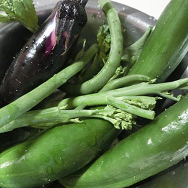 そろそろ夏野菜本番。