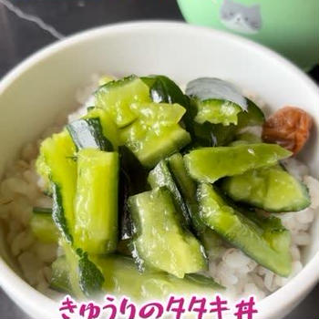 きゅうりのタタキ丼