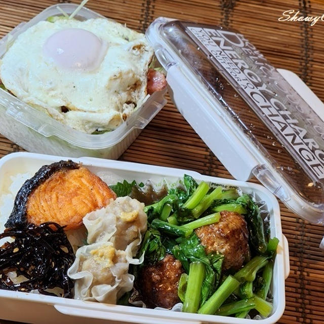 ブログを再開しまーす！with肉団子の餡掛け弁当(*^-^*)&gt;&quot;