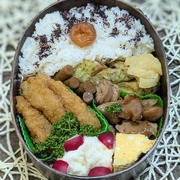 手の甲がとてもかゆい～夫のお弁当252