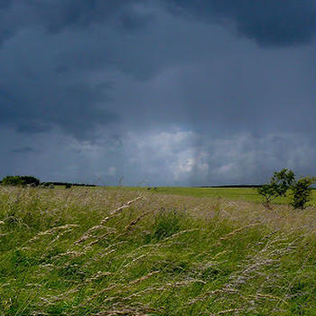 Here comes the rain
