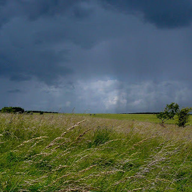 Here comes the rain