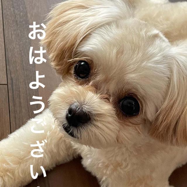 めっちゃ慌てた朝
