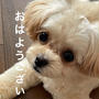 めっちゃ慌てた朝
