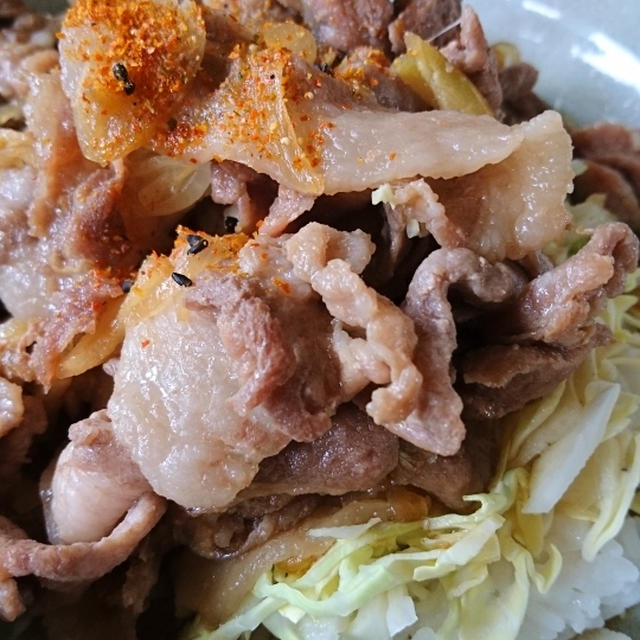 ガッツリ豚丼