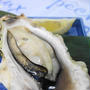 岩牡蠣☆超簡単殻付き牡蠣のレンジ蒸し