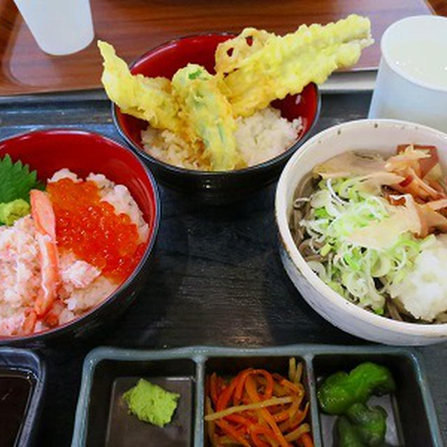 越前食堂の三食御膳