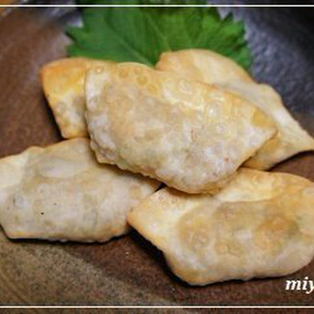 大豆の肉もどき料理「大豆の包み揚げ」