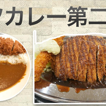 【満腹注意】ゴーゴーカレー「メジャーカレー」を本音レビュー！