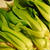 青梗菜の白胡麻豆乳鍋【鍋レシピ014】