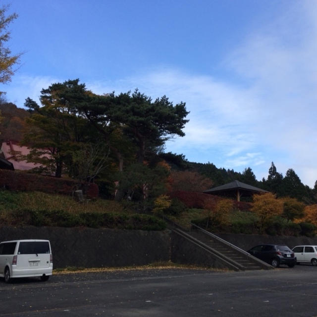 今日のお出かけは？