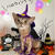 Halloween仮装ニャン2021