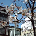 暖かい一日でした♪