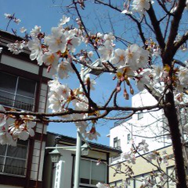 暖かい一日でした♪