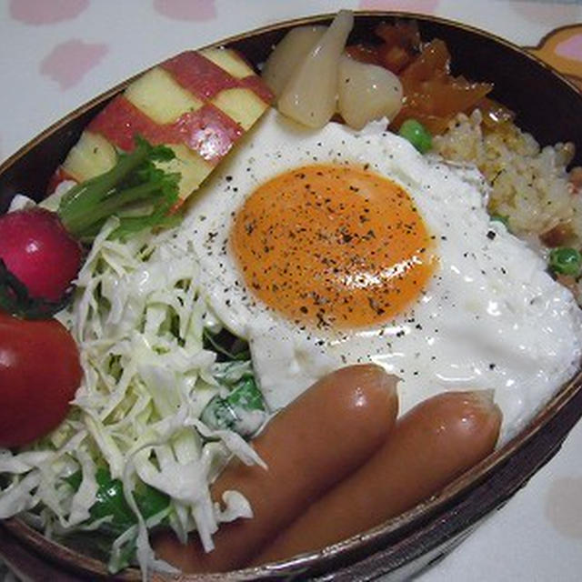 大誤算！ガパオライス弁当。座机の下で眠るあんこ