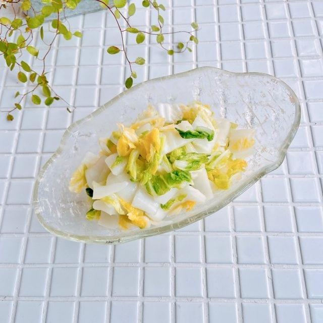 レンジで3分！おつまみ風作り置き「白菜ナムル」