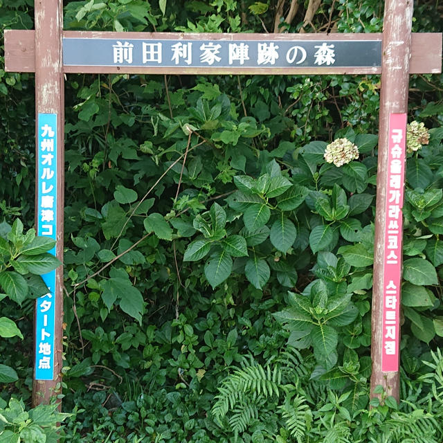 釣り旅２日目（平戸、長崎）アジング、ルアーフィッシング、海釣り、アジ