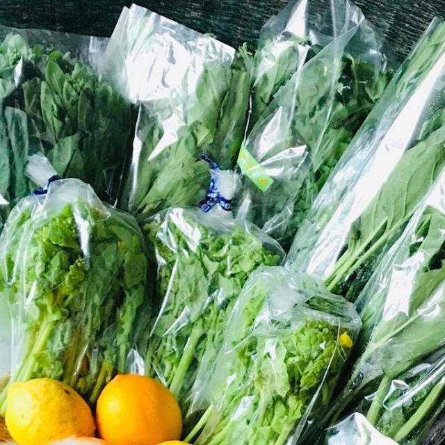 世田谷野菜到着！