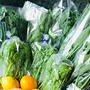 世田谷野菜到着！